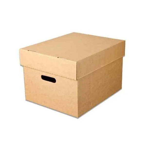 Corrugated Box with Lids